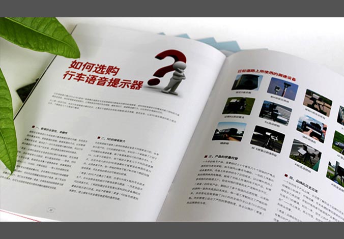 畫冊設(shè)計，標(biāo)志設(shè)計，VI設(shè)計，交互設(shè)計，包裝設(shè)計，空間導(dǎo)示，數(shù)志視頻，廣告創(chuàng)意設(shè)計，博納設(shè)計