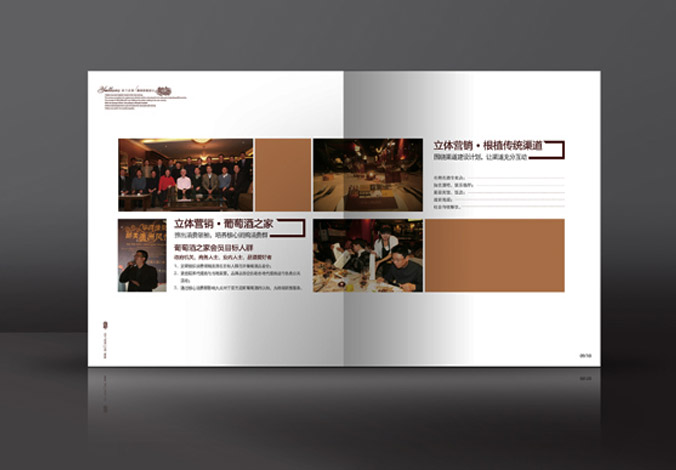 畫冊(cè)設(shè)計(jì)，標(biāo)志設(shè)計(jì)，VI設(shè)計(jì)，交互設(shè)計(jì)，包裝設(shè)計(jì)，空間導(dǎo)示，數(shù)志視頻，廣告創(chuàng)意設(shè)計(jì)，博納設(shè)計(jì)