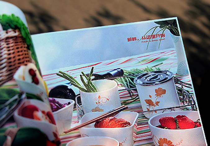 畫冊設計，標志設計，VI設計，交互設計，包裝設計，空間導示，數志視頻，廣告創意設計，博納設計