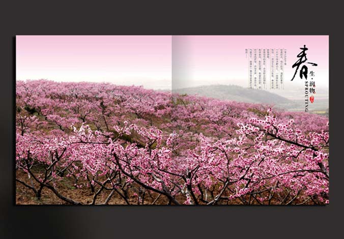 畫冊設計，標志設計，VI設計，交互設計，包裝設計，空間導示，數志視頻，廣告創意設計，博納設計