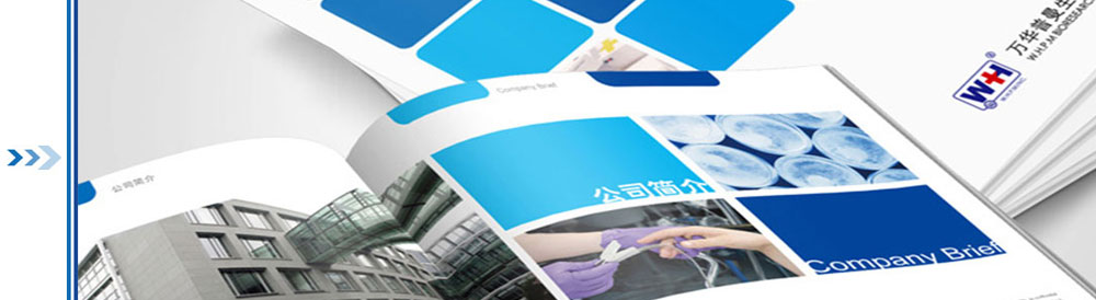 萬華普曼生物工程有限公司