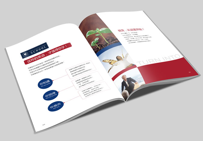 亞歷山大國際語言學校