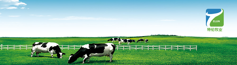 呼倫貝爾特倫牧業有限公司