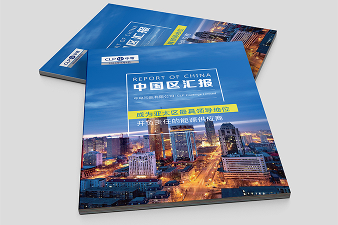 中電控股 畫冊設計 宣傳冊設計 北京彩頁設計 logo設計 商標設計 標志設計 VI設計 VI設計公司 包裝設計 產品包裝設計 包裝盒設計  品牌設計 品牌設計公司 企業logo設計