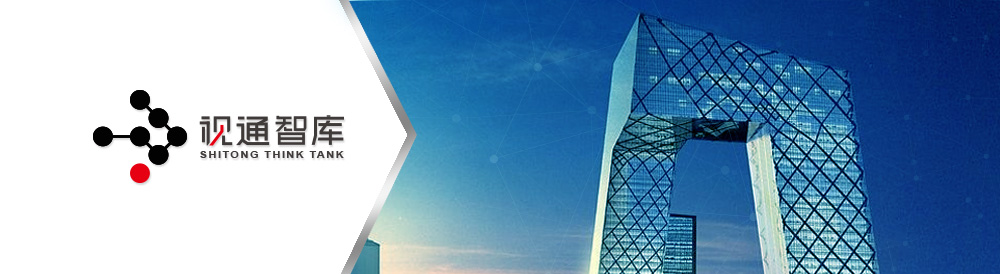 央視國(guó)際——視通智庫