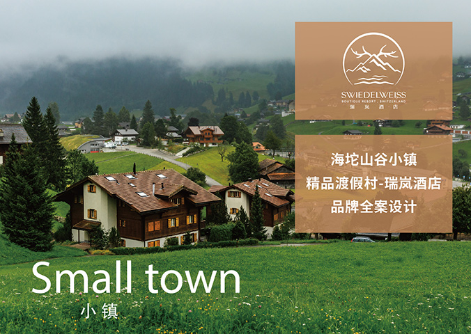 VI設計   公司VI設計  企業品牌設計  瑞嵐酒店