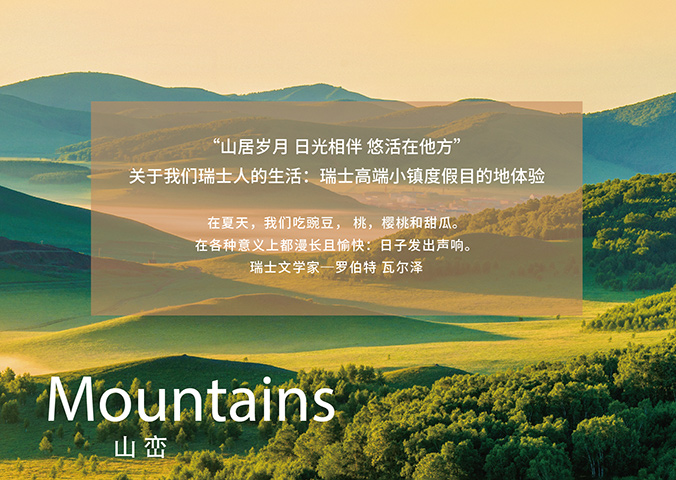 VI設計   公司VI設計  企業品牌設計  瑞嵐酒店