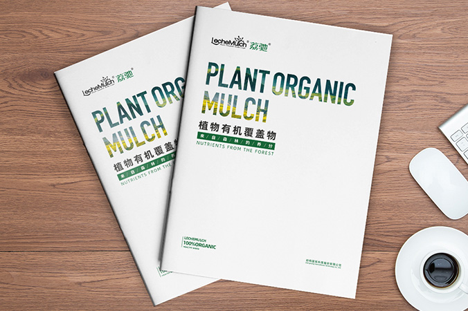 產品宣傳冊設計 企業畫冊設計 宣傳物料設計 動向國際科技