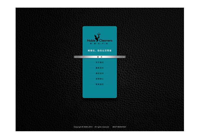 耐普拉干洗  企業logo設計  形象vi設計