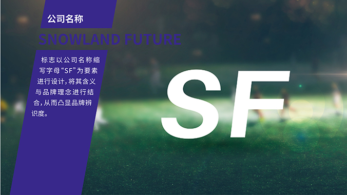 雪域未來(lái) logo設(shè)計(jì) 公司logo設(shè)計(jì) 企業(yè)標(biāo)志設(shè)計(jì)