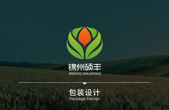 碩豐農藥  包裝設計 外包裝設計  包裝袋設計